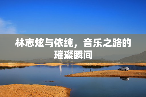 林志炫与依纯，音乐之路的璀璨瞬间