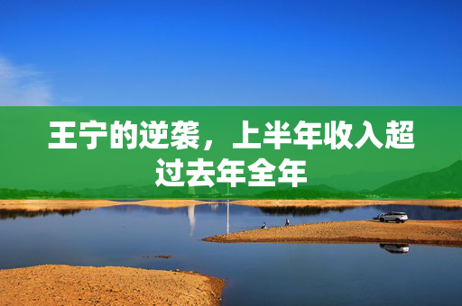 王宁的逆袭，上半年收入超过去年全年
