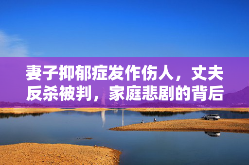 妻子抑郁症发作伤人，丈夫反杀被判，家庭悲剧的背后真相
