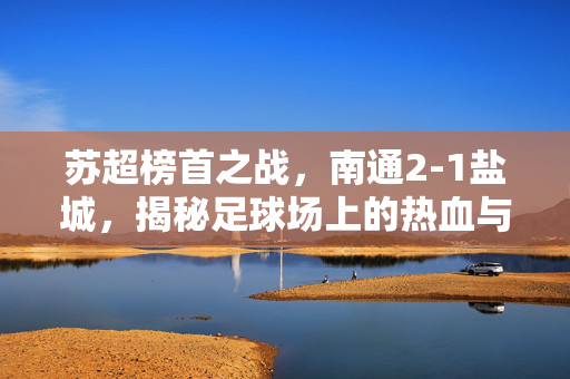 苏超榜首之战，南通2-1盐城，揭秘足球场上的热血与荣耀