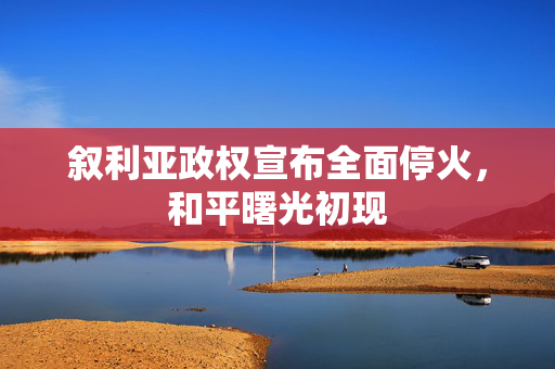 叙利亚政权宣布全面停火，和平曙光初现