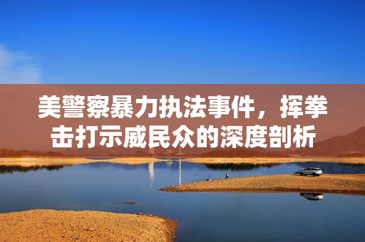 美警察暴力执法事件，挥拳击打示威民众的深度剖析