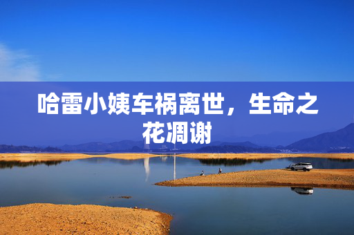 哈雷小姨车祸离世，生命之花凋谢