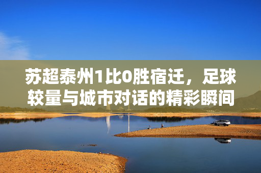 苏超泰州1比0胜宿迁，足球较量与城市对话的精彩瞬间