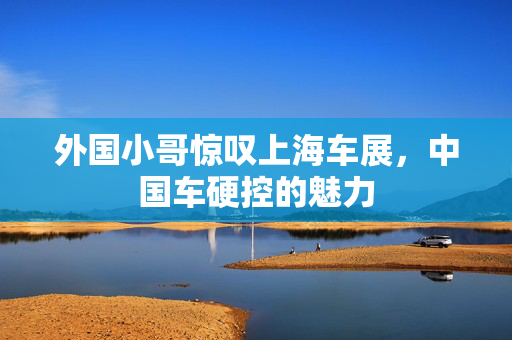 外国小哥惊叹上海车展，中国车硬控的魅力