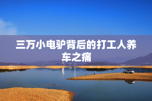 三万小电驴背后的打工人养车之痛