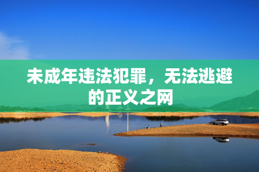 未成年违法犯罪，无法逃避的正义之网
