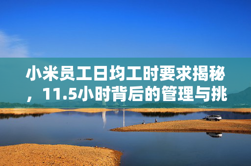 小米员工日均工时要求揭秘，11.5小时背后的管理与挑战