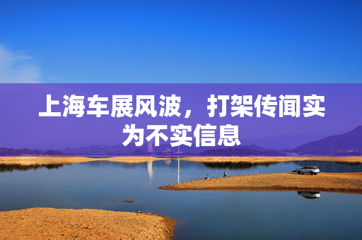 上海车展风波，打架传闻实为不实信息