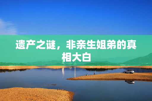 遗产之谜，非亲生姐弟的真相大白