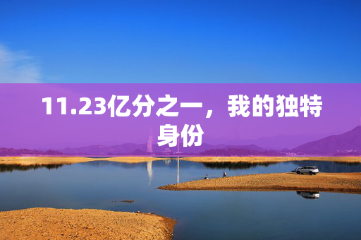 11.23亿分之一，我的独特身份