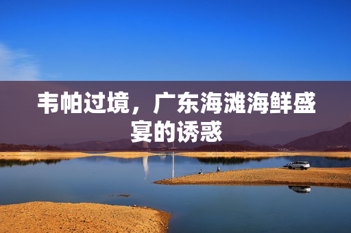 韦帕过境，广东海滩海鲜盛宴的诱惑
