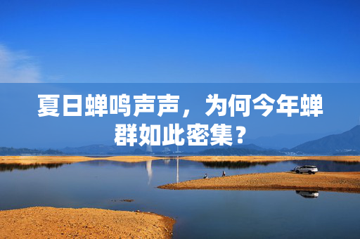 夏日蝉鸣声声，为何今年蝉群如此密集？