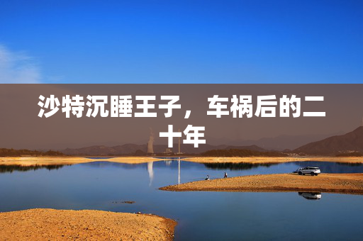 沙特沉睡王子，车祸后的二十年