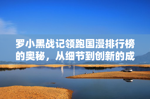 罗小黑战记领跑国漫排行榜的奥秘，从细节到创新的成功之路