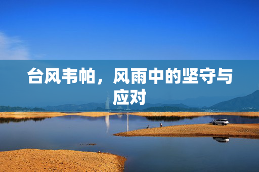 台风韦帕，风雨中的坚守与应对