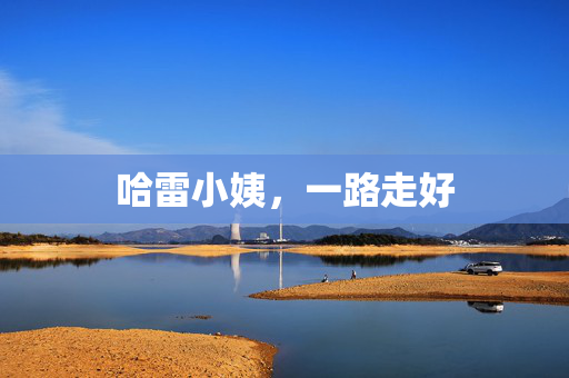 哈雷小姨，一路走好