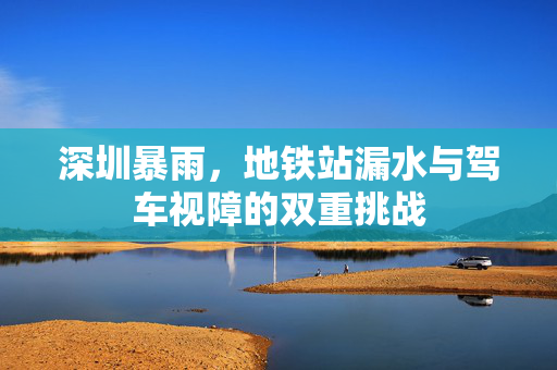 深圳暴雨，地铁站漏水与驾车视障的双重挑战