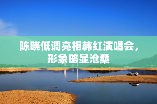陈晓低调亮相韩红演唱会，形象略显沧桑