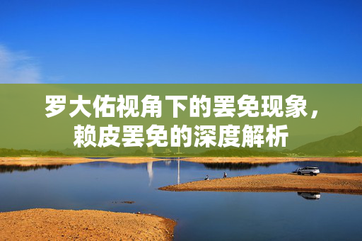 罗大佑视角下的罢免现象，赖皮罢免的深度解析