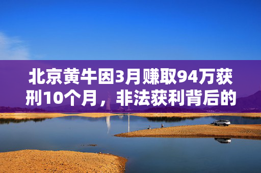 北京黄牛因3月赚取94万获刑10个月，非法获利背后的法律与道德困境