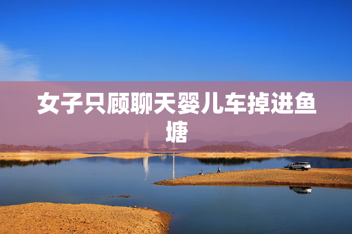 女子只顾聊天婴儿车掉进鱼塘