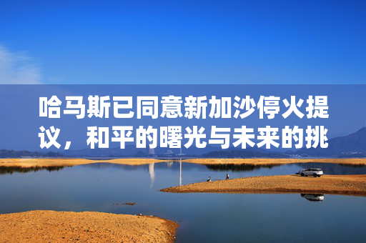 哈马斯已同意新加沙停火提议，和平的曙光与未来的挑战
