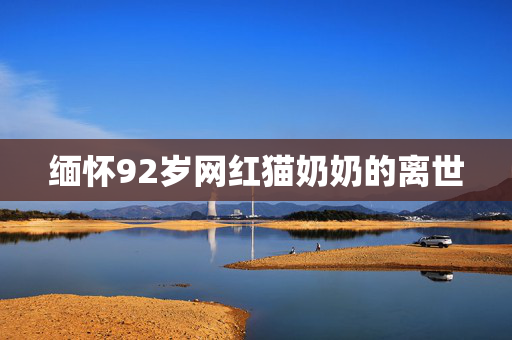 缅怀92岁网红猫奶奶的离世