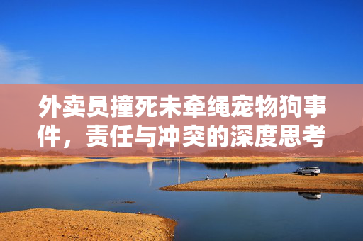 外卖员撞死未牵绳宠物狗事件，责任与冲突的深度思考