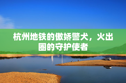 杭州地铁的傲娇警犬，火出圈的守护使者