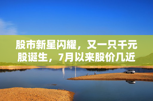 股市新星闪耀，又一只千元股诞生，7月以来股价几近翻倍的背后逻辑