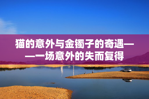 猫的意外与金镯子的奇遇——一场意外的失而复得