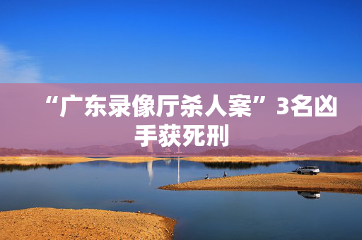 “广东录像厅杀人案”3名凶手获死刑