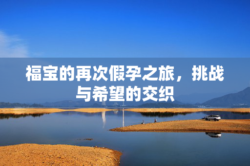 福宝的再次假孕之旅，挑战与希望的交织