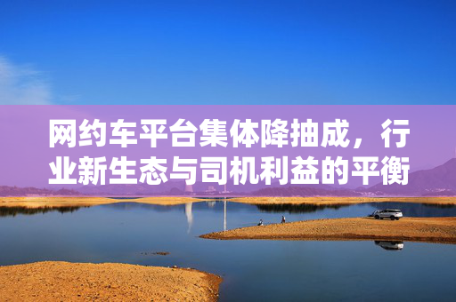 网约车平台集体降抽成，行业新生态与司机利益的平衡点