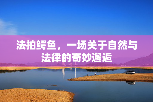 法拍鳄鱼，一场关于自然与法律的奇妙邂逅