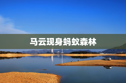 马云现身蚂蚁森林