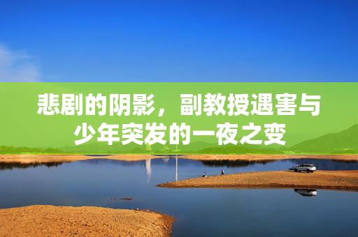 悲剧的阴影，副教授遇害与少年突发的一夜之变