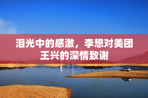 泪光中的感激，李想对美团王兴的深情致谢