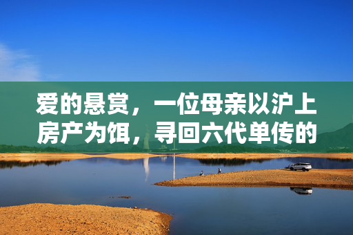 爱的悬赏，一位母亲以沪上房产为饵，寻回六代单传的希望——六代单传下的母爱传奇