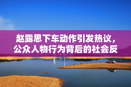 赵露思下车动作引发热议，公众人物行为背后的社会反思