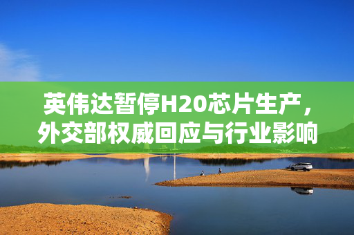 英伟达暂停H20芯片生产，外交部权威回应与行业影响分析