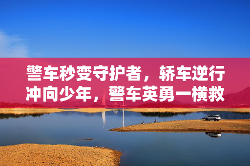 警车秒变守护者，轿车逆行冲向少年，警车英勇一横救五命