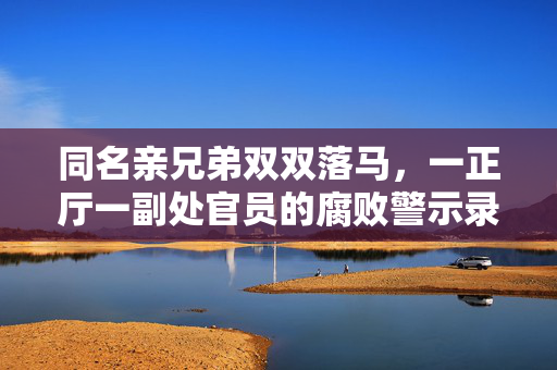 同名亲兄弟双双落马，一正厅一副处官员的腐败警示录