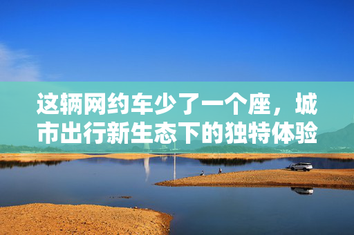 这辆网约车少了一个座，城市出行新生态下的独特体验与思考