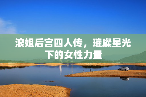 浪姐后宫四人传，璀璨星光下的女性力量