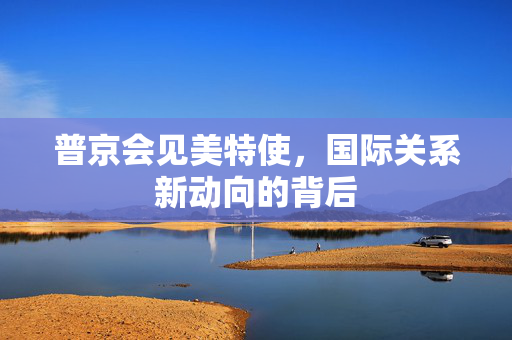普京会见美特使，国际关系新动向的背后