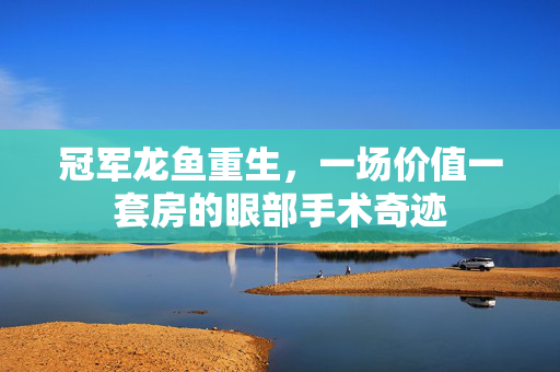 冠军龙鱼重生，一场价值一套房的眼部手术奇迹
