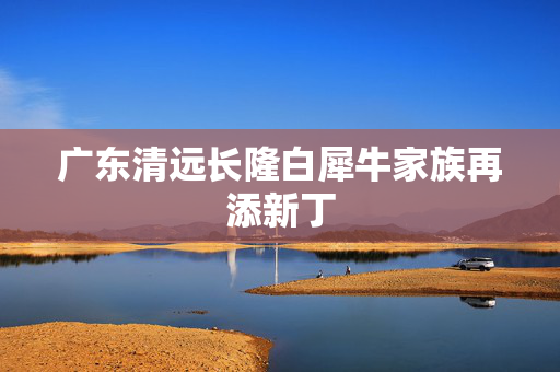 广东清远长隆白犀牛家族再添新丁