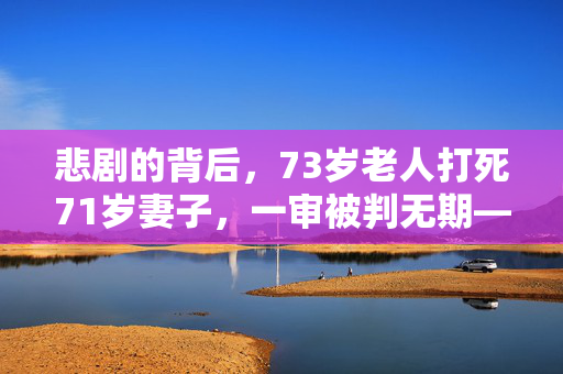 悲剧的背后，73岁老人打死71岁妻子，一审被判无期——家庭暴力与法律责任的沉重反思